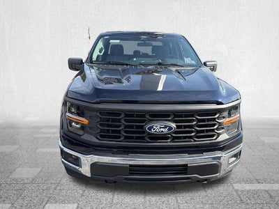 2024 Ford F-150 XL